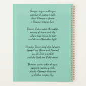 Venezia's Dream Planer (Rückseite)