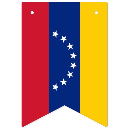 Venezolanische Flagge & Party Venezuela Banners /H (Zweite Fahne)