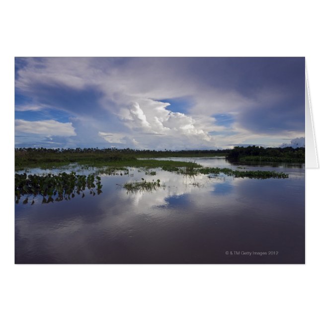 Venezuela, Delta Amacuro, Orinoco-Delta (Vorderseite (Horizontal))