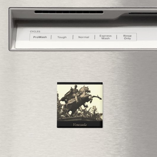 Venezuela Magnet (In Situ (Geschirrspüler))