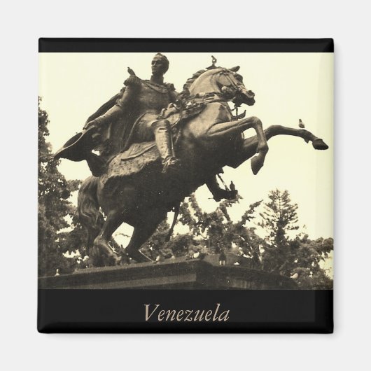 Venezuela Magnet (Vorne)