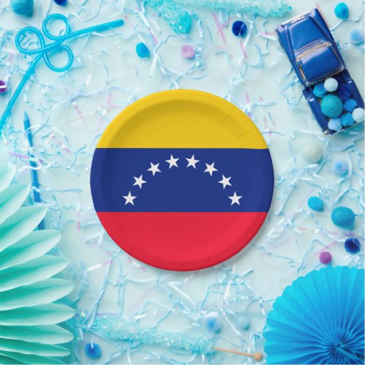 Venezuela Pappteller (Party)