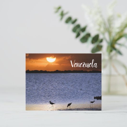 Venezuela Sunset Postkarte (Stehend Vorderseite)