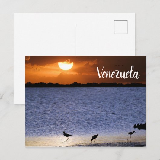 Venezuela Sunset Postkarte (Vorne/Hinten)