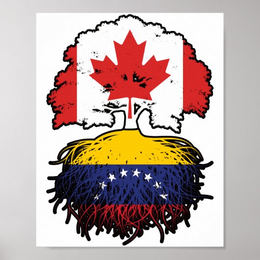 Venezuela Venezuelan kanadische Treppenroots Poster (Vorne)