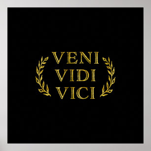 Veni Vidi Vici Funny Game Gewinner Poster