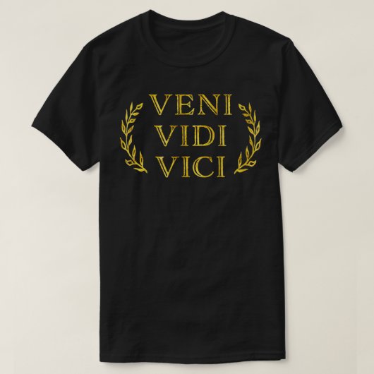 Veni Vidi Vici Funny Vintag T-Shirt (Design vorne)