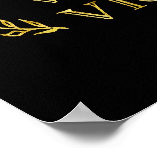 Veni Vidi Vici für Gamer oder Athlete Poster (Ecke)