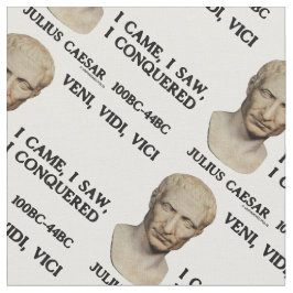 Veni, Vidi, Vici I Came, ich sah, ich eroberte Cae Stoff