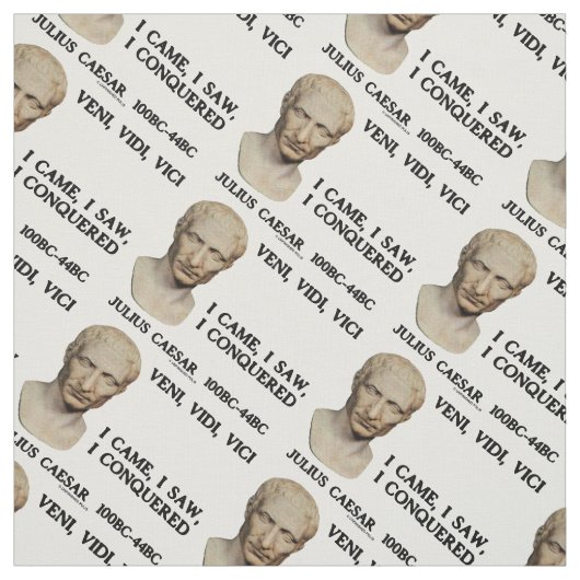 Veni, Vidi, Vici I Came, ich sah, ich eroberte Cae Stoff (Muster)