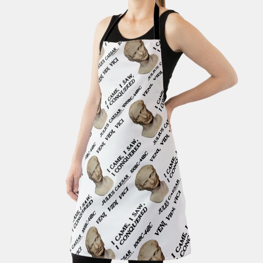 Veni, Vidi, Vici I kam ich sah, wie ich Caesar ero Schürze (InSitu)