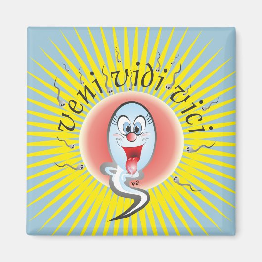 veni vidi vici Magnet (Vorne)