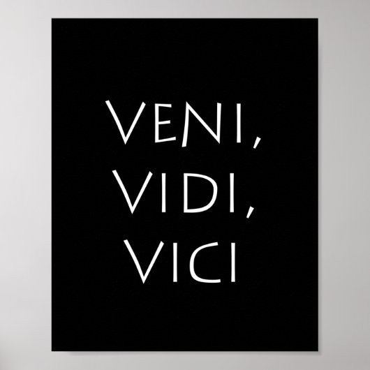 Veni vidi vici poster (Vorne)