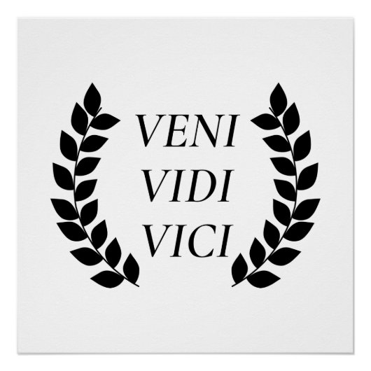 Veni Vidi Vici Poster (Vorderseite)