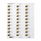 Venice Beach California Sunset Souvenir Label (Vorne)