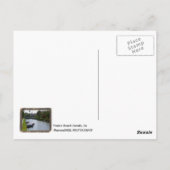 Venice Beach Canals Postcard! Postkarte (Rückseite)