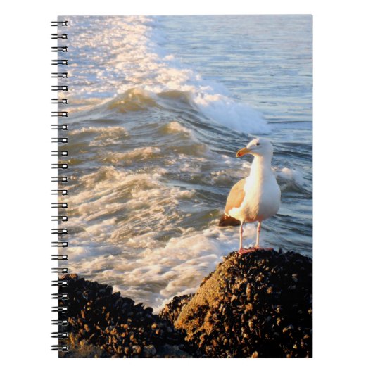 Venice Beach Seagull Notizblock (Vorderseite)