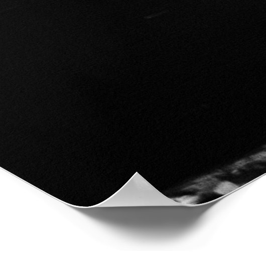 Venice Canals Poster (Ecke)