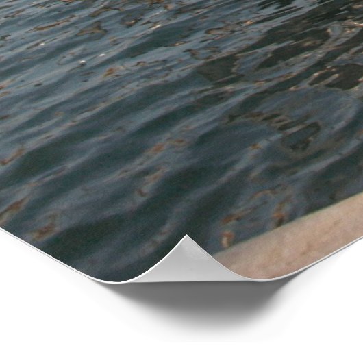 Venice Gondolas Poster (Ecke)