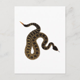Venomous Bites Postkarte