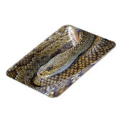 Venomous Rattle Schlange Nah Magnet (Linke Seite)