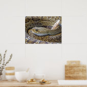Venomous Rattle Schlange Nah Poster (Küche)
