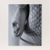 Venomous Rattlesnake in Monochrom, Jigsaw Puzzle (Vertikal)