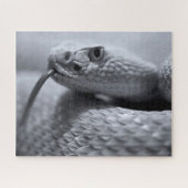 Venomous Rattlesnake in Monochrom, Jigsaw Puzzle (Horizontal)