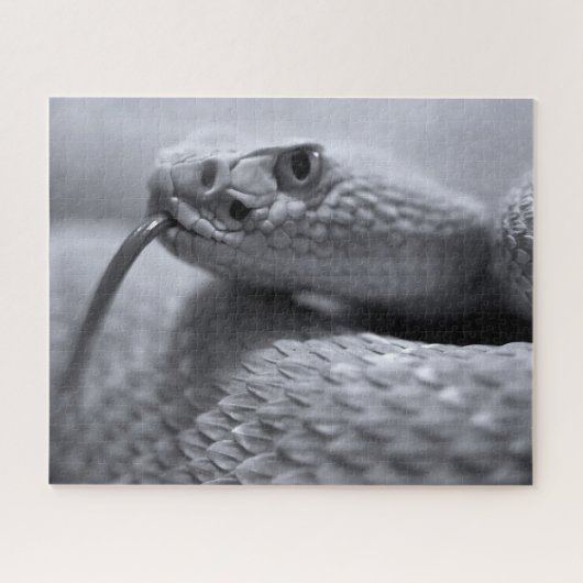 Venomous Rattlesnake in Monochrom, Jigsaw Puzzle (Horizontal)