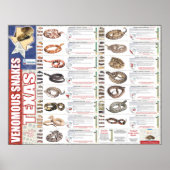 Venomous Schlangen von Texas Poser von der NNTRC Poster (Vorne)