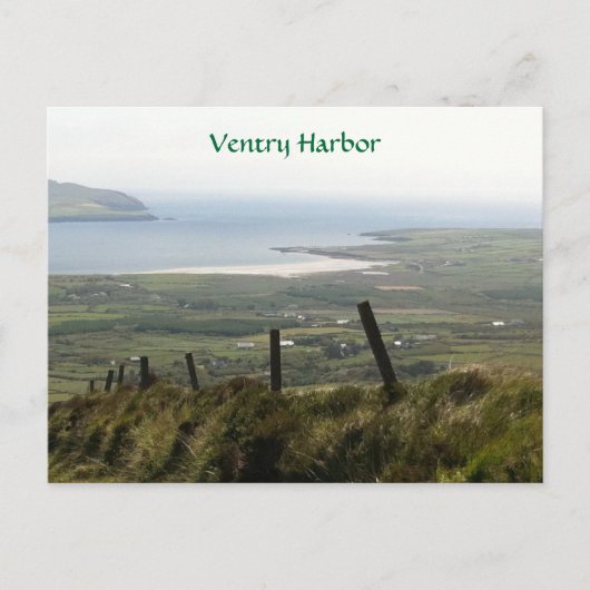 Ventry Hafen, Dingle, Kerry, Irland Postkarte (Vorderseite)