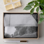 Ventura-Bahnstation Seidenpapier (Geschenk)