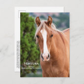 Ventura Postkarte (Vorne/Hinten)