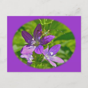 Venus Blioking Glass Wildblume Floral Postkarte