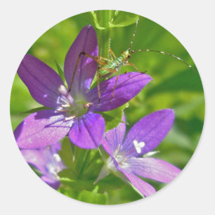 Venus Blioking Glass Wildblume Floral Runder Aufkleber