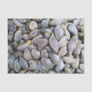 Venus Clam [ห อ ย ล ย] Seidenpapier