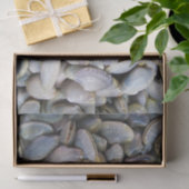 Venus Clam [ห อ ย ล ย] Seidenpapier (Geschenk)