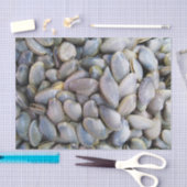 Venus Clam [ห อ ย ล ย] Seidenpapier (Handwerk)