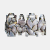 Venus Clam [ห อ ล า ย] Geschenkschachtel (Ungefaltet)