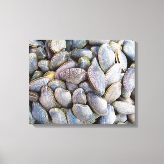 Venus Clam [ห อ ล า ย] Leinwanddruck (Vorderseite)