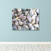 Venus Clam [ห อ ล า ย] Leinwanddruck (Insitu (Holzboden))