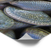 Venus Clam [ห อ ล า ย] Poster (Ecke)