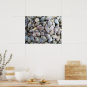 Venus Clam [ห อ ล า ย] Poster (Küche)