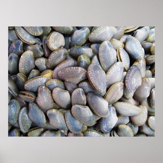 Venus Clam [ห อ ล า ย] Poster (Vorne)