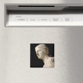 Venus de Milo Magnet (In Situ (Geschirrspüler))