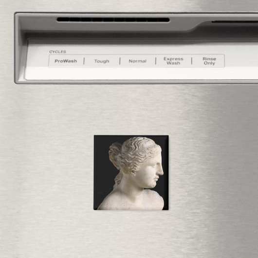 Venus de Milo Magnet (In Situ (Geschirrspüler))