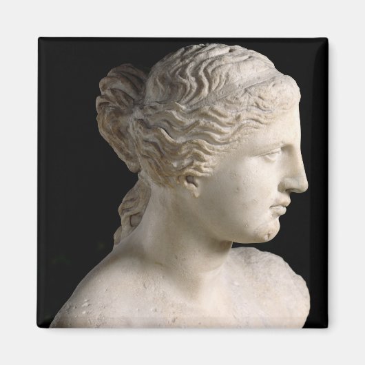 Venus de Milo Magnet (Vorne)