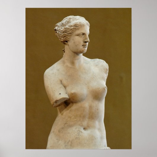 Venus de Milo Poster (Vorne)