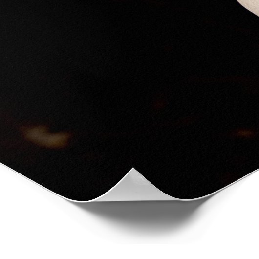 Venus de Milo Poster (Ecke)