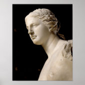 Venus de Milo Poster (Vorne)